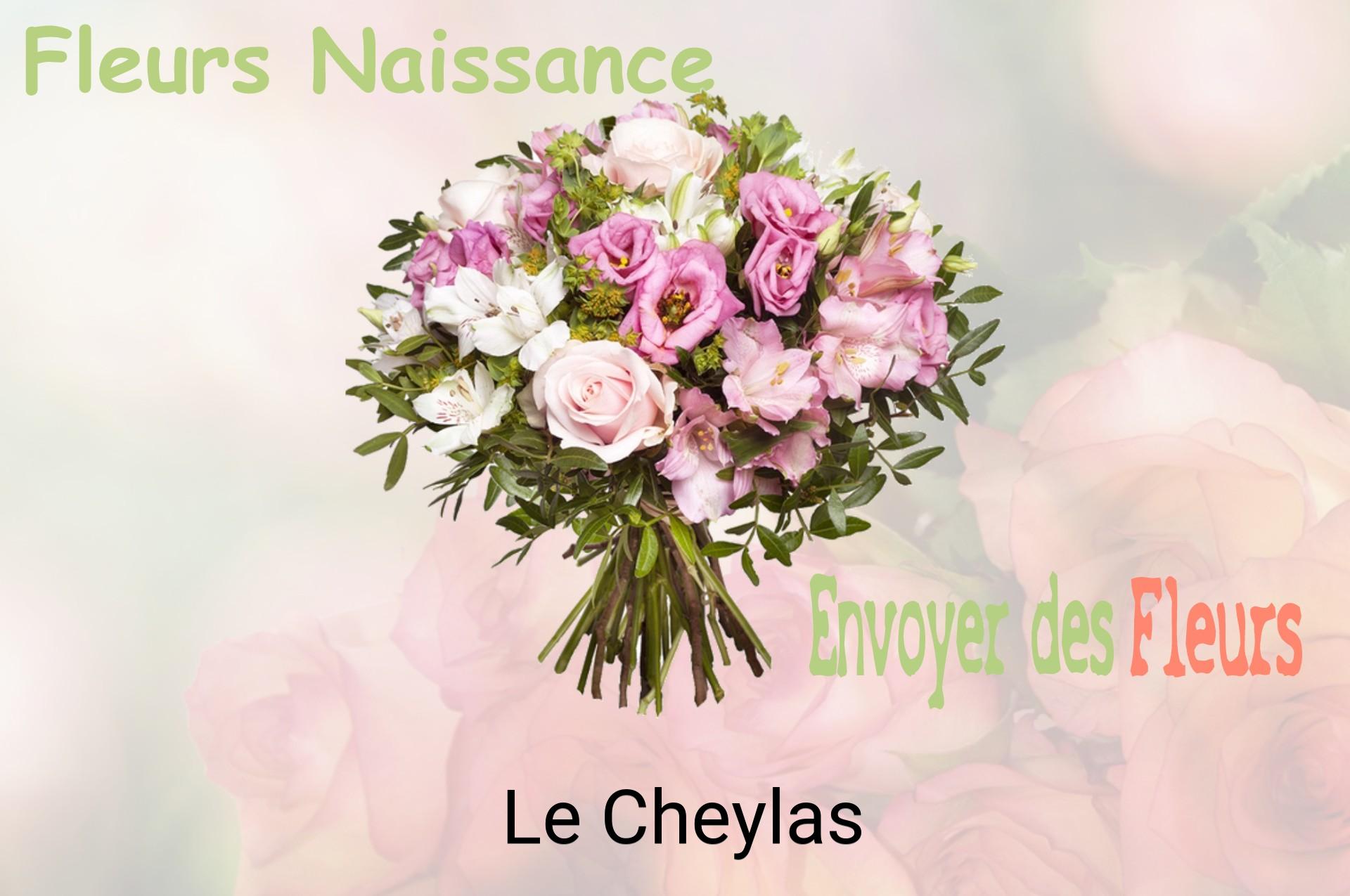 Bouquet de fleurs de naissance livré à Le Cheylas