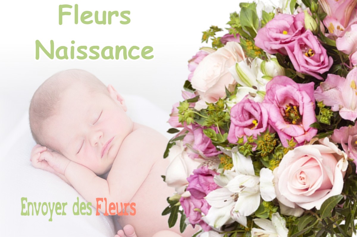 lIVRAISON FLEURS NAISSANCE à LE-CHEYLAS